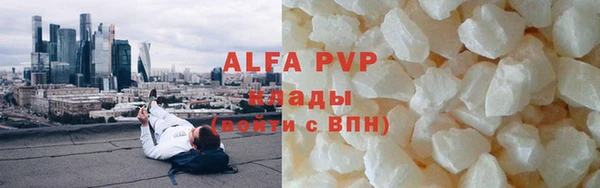 крисы Белокуриха