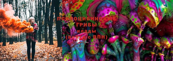 крисы Белокуриха