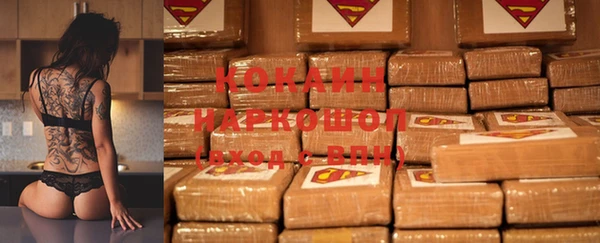 крисы Белокуриха