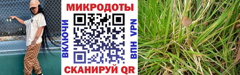 блэк спрут tor Белая Холуница Псилоцибиновые грибы мухоморы